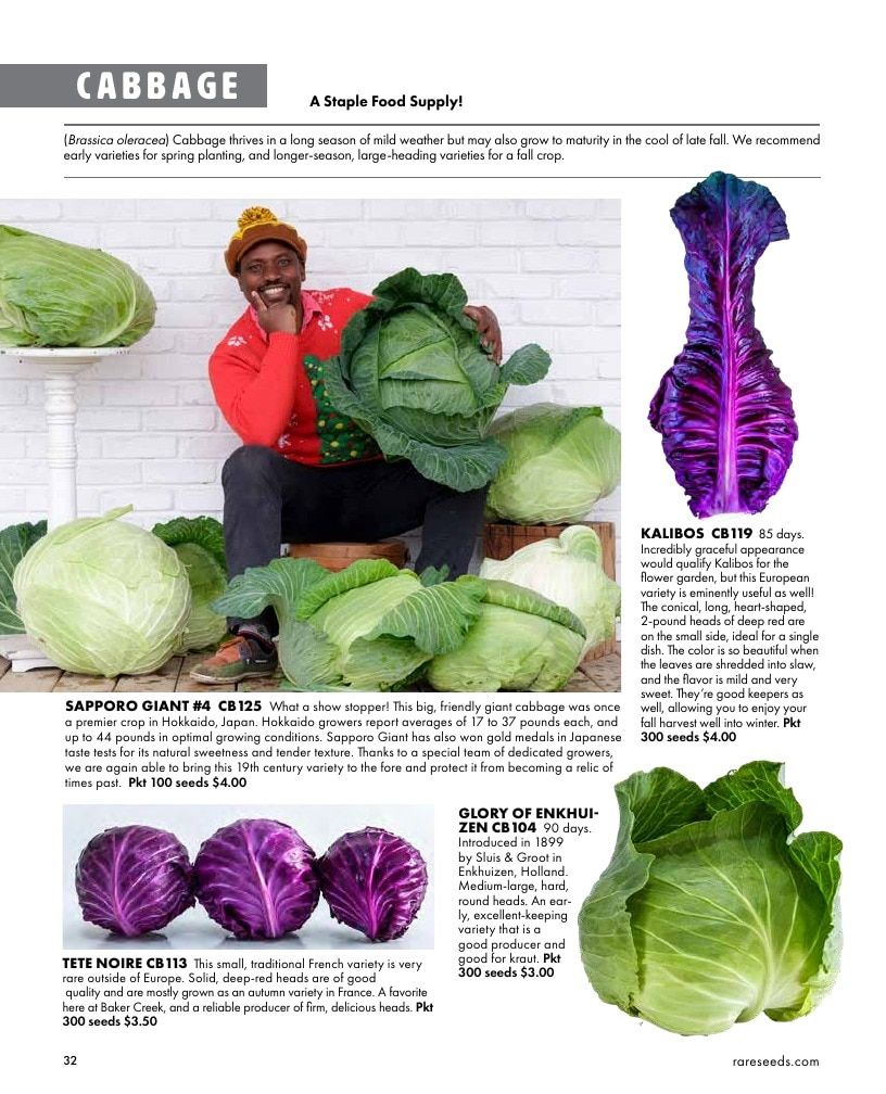 Baker Creek Heirloom Seeds Free Seed Catalog Weekly Ad January 1 - December 31, 2026