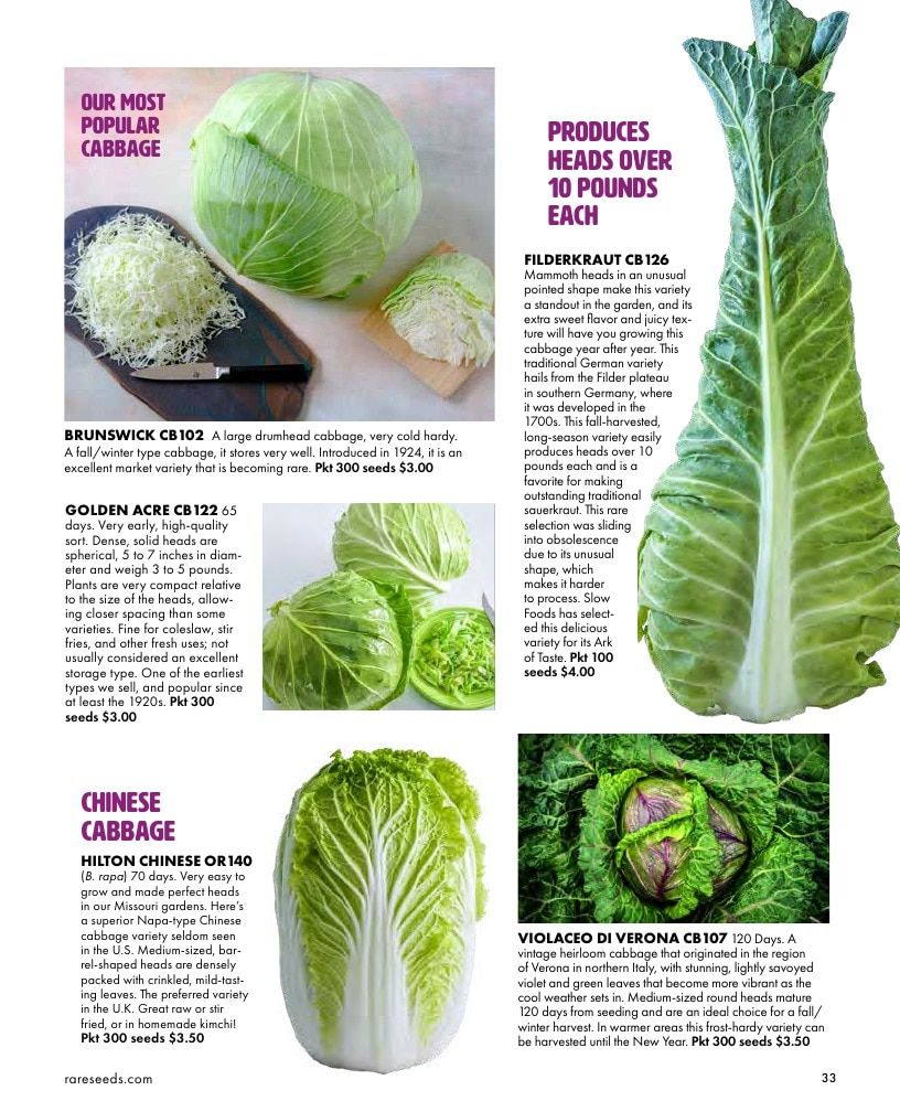 Baker Creek Heirloom Seeds Free Seed Catalog Weekly Ad January 1 - December 31, 2026
