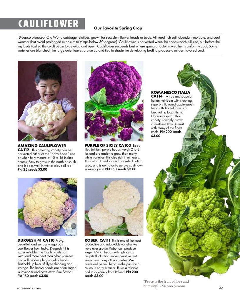 Baker Creek Heirloom Seeds Free Seed Catalog Weekly Ad January 1 - December 31, 2026