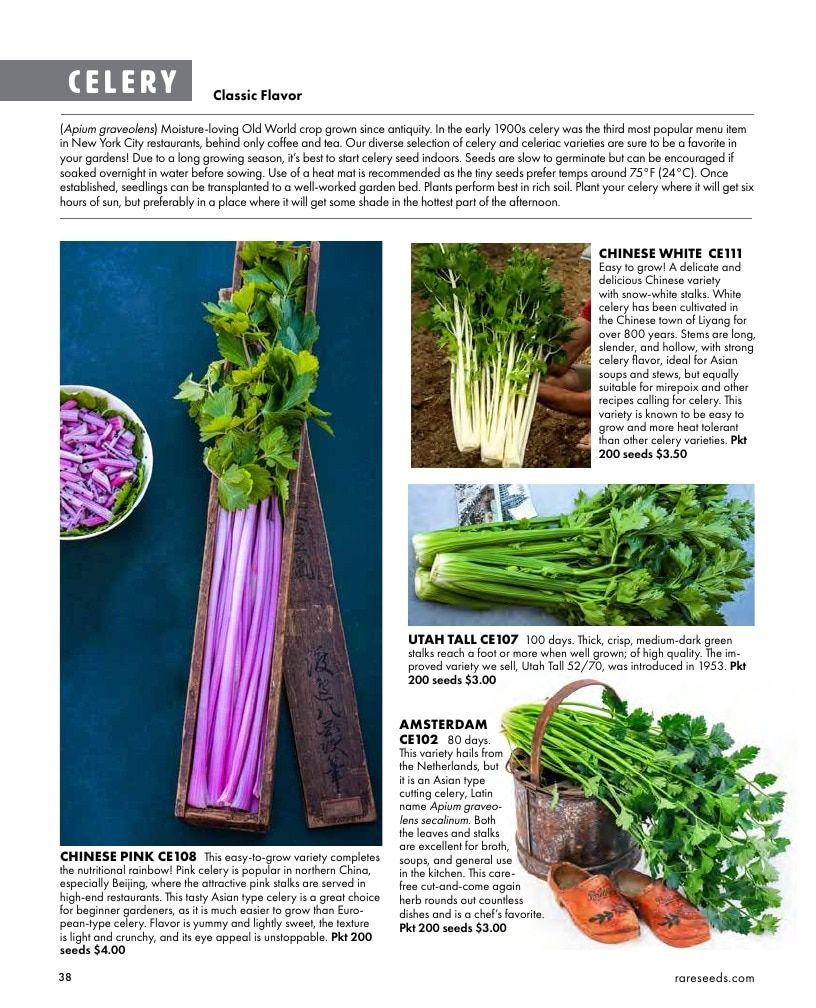 Baker Creek Heirloom Seeds Free Seed Catalog Weekly Ad January 1 - December 31, 2026