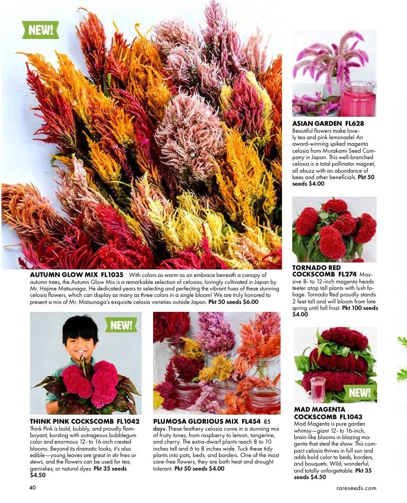 Baker Creek Heirloom Seeds Free Seed Catalog Weekly Ad January 1 - December 31, 2026