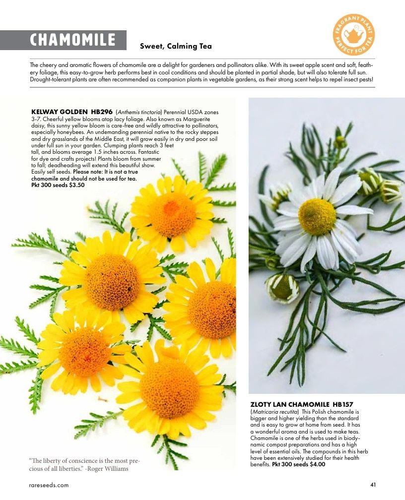 Baker Creek Heirloom Seeds Free Seed Catalog Weekly Ad January 1 - December 31, 2026