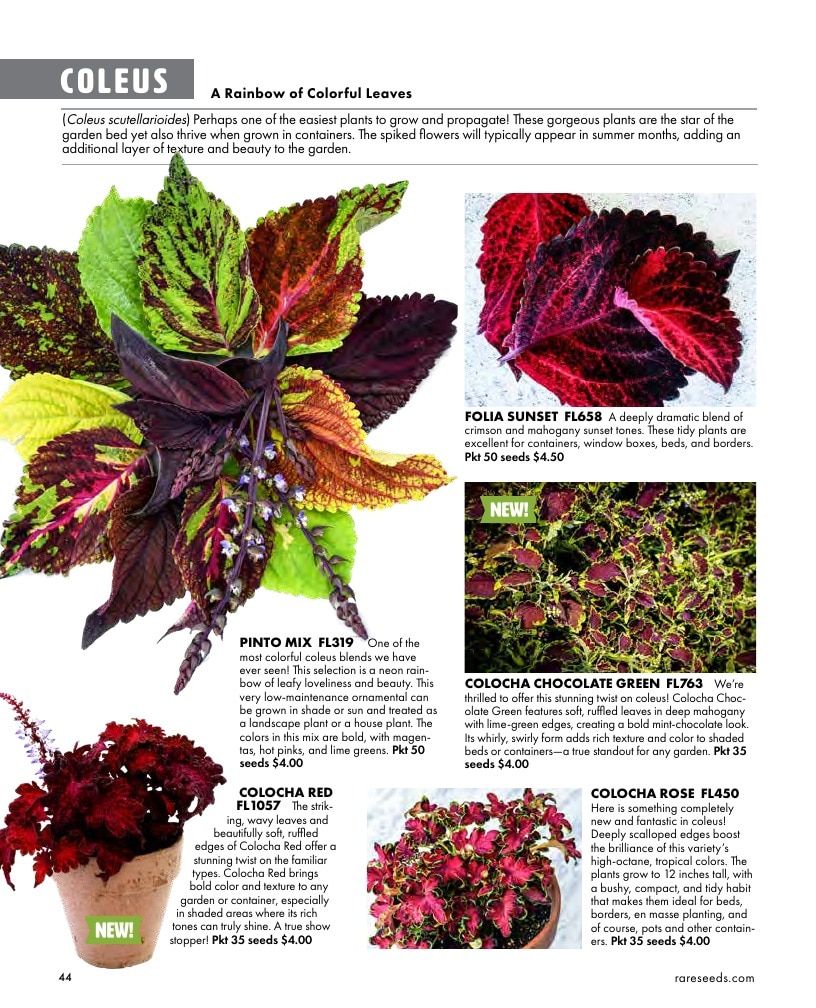 Baker Creek Heirloom Seeds Free Seed Catalog Weekly Ad January 1 - December 31, 2026