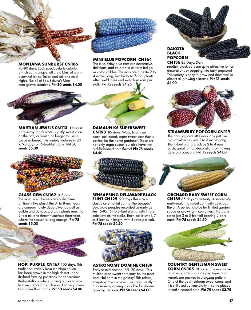 Baker Creek Heirloom Seeds Free Seed Catalog Weekly Ad January 1 - December 31, 2026