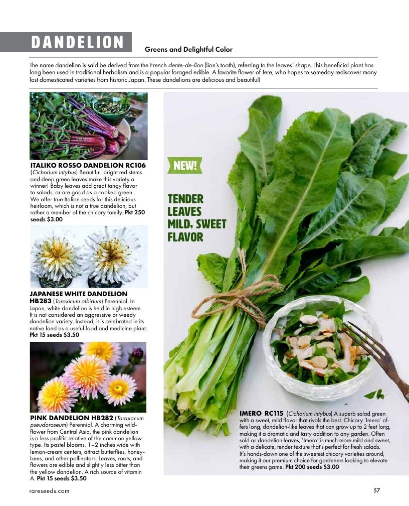 Baker Creek Heirloom Seeds Free Seed Catalog Weekly Ad January 1 - December 31, 2026