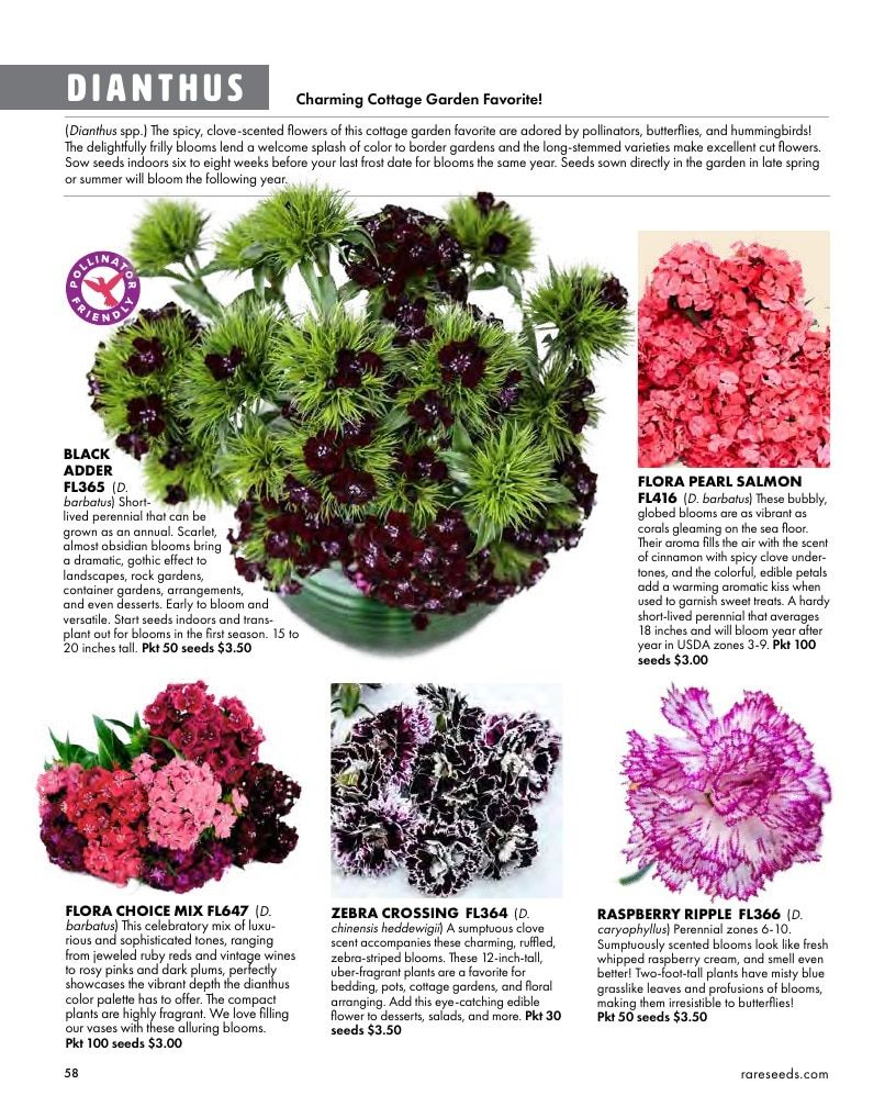 Baker Creek Heirloom Seeds Free Seed Catalog Weekly Ad January 1 - December 31, 2026