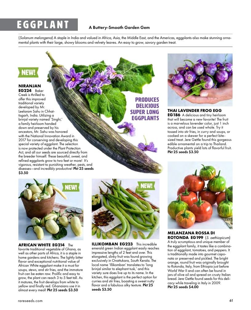 Baker Creek Heirloom Seeds Free Seed Catalog Weekly Ad January 1 - December 31, 2026