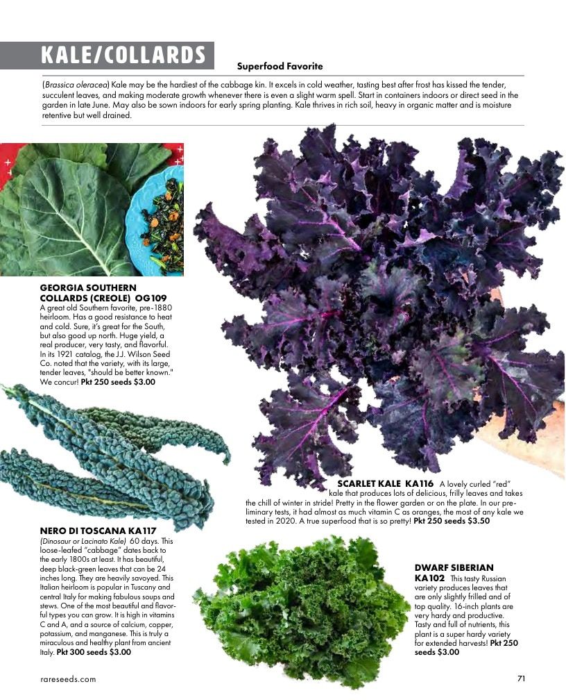 Baker Creek Heirloom Seeds Free Seed Catalog Weekly Ad January 1 - December 31, 2026