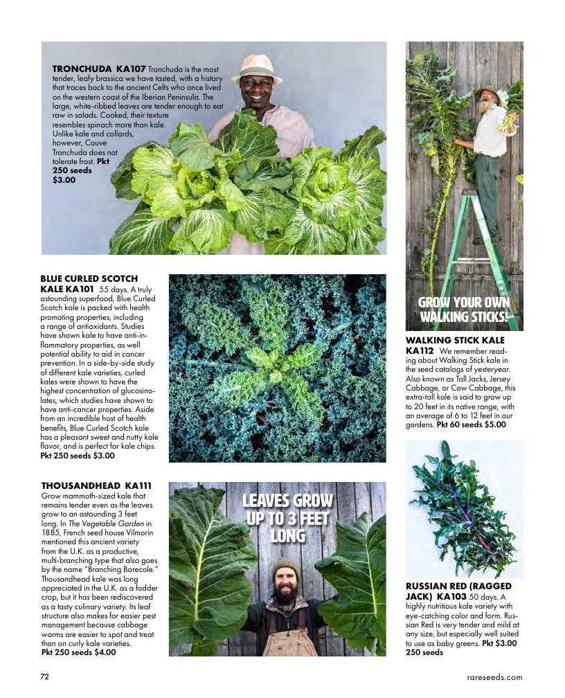 Baker Creek Heirloom Seeds Free Seed Catalog Weekly Ad January 1 - December 31, 2026