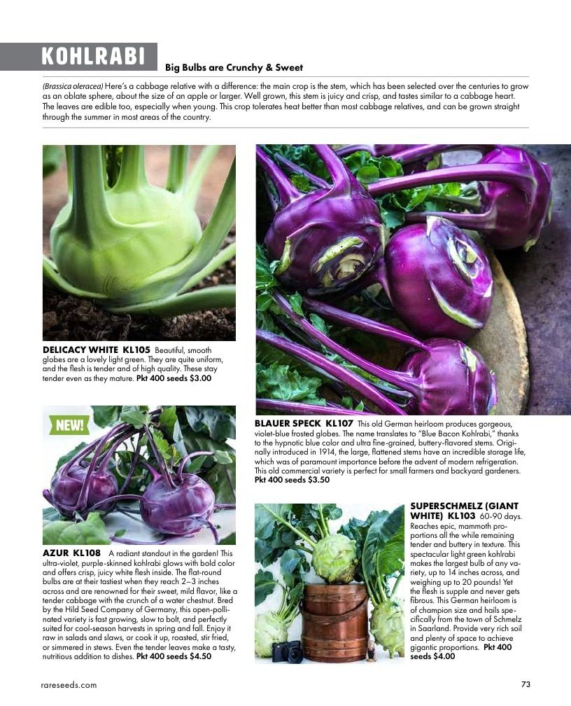 Baker Creek Heirloom Seeds Free Seed Catalog Weekly Ad January 1 - December 31, 2026
