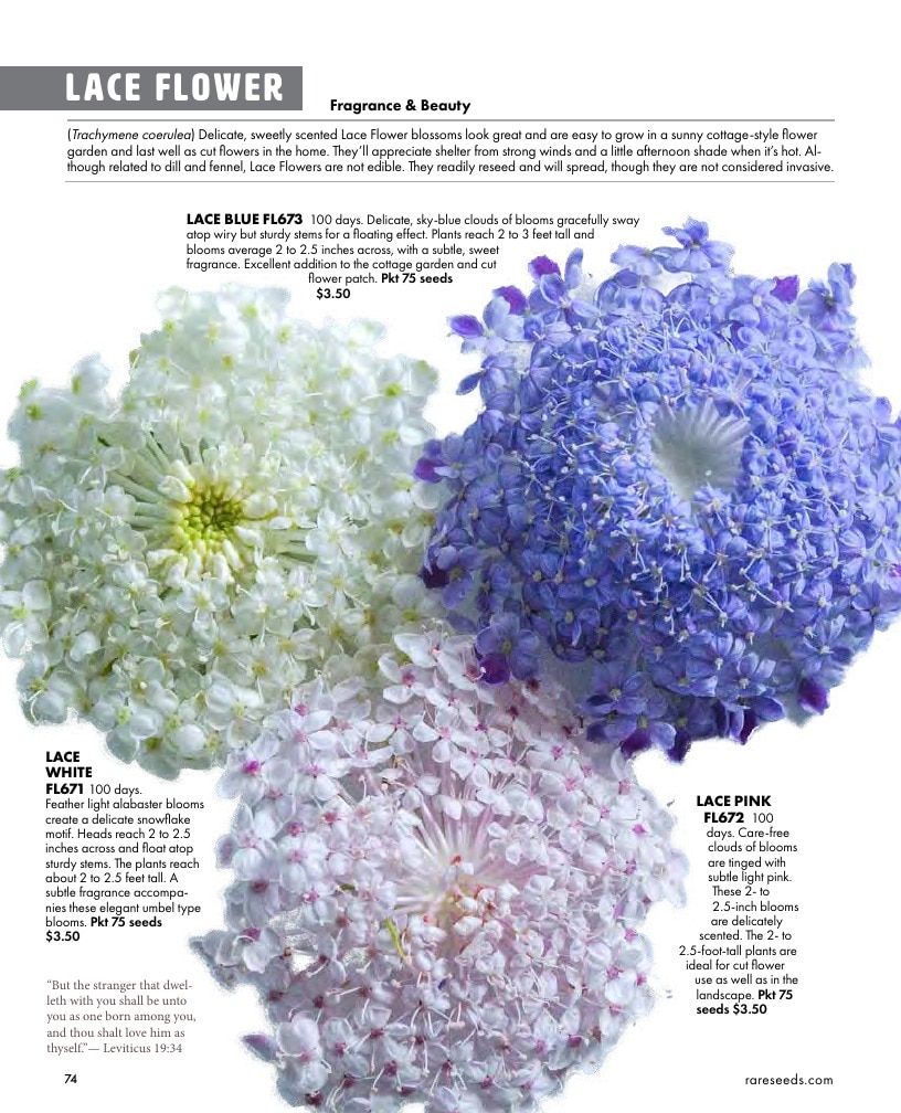 Baker Creek Heirloom Seeds Free Seed Catalog Weekly Ad January 1 - December 31, 2026