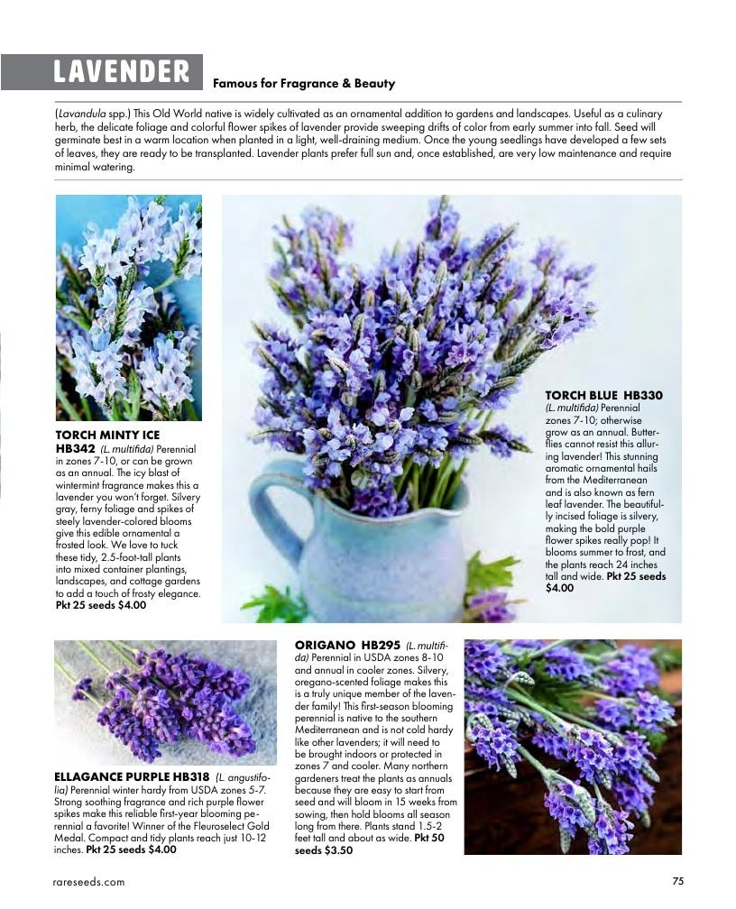 Baker Creek Heirloom Seeds Free Seed Catalog Weekly Ad January 1 - December 31, 2026