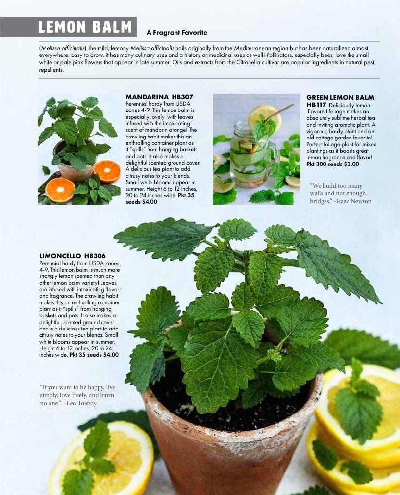 Baker Creek Heirloom Seeds Free Seed Catalog Weekly Ad January 1 - December 31, 2026