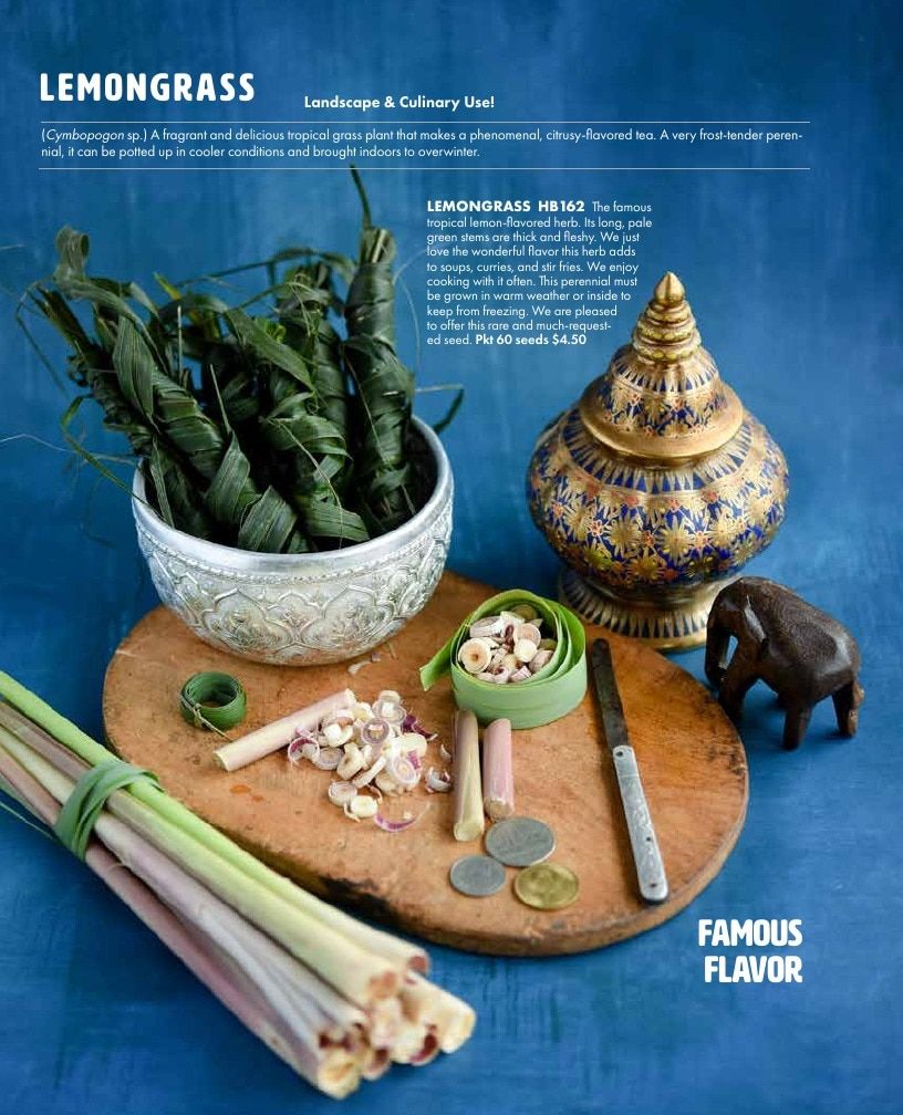 Baker Creek Heirloom Seeds Free Seed Catalog Weekly Ad January 1 - December 31, 2026