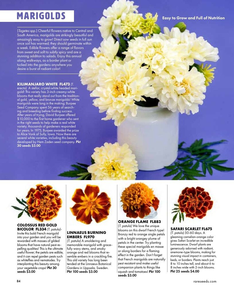Baker Creek Heirloom Seeds Free Seed Catalog Weekly Ad January 1 - December 31, 2026