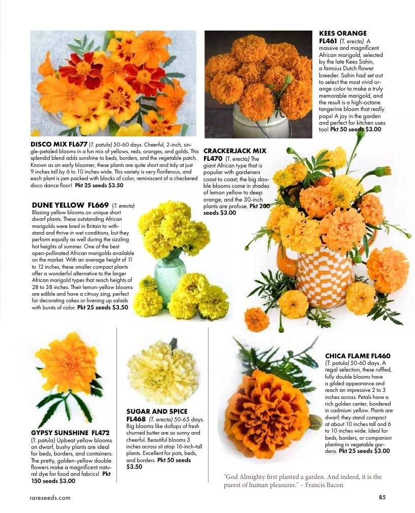 Baker Creek Heirloom Seeds Free Seed Catalog Weekly Ad January 1 - December 31, 2026