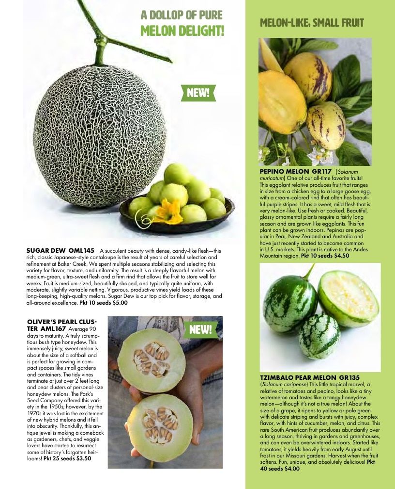 Baker Creek Heirloom Seeds Free Seed Catalog Weekly Ad January 1 - December 31, 2026