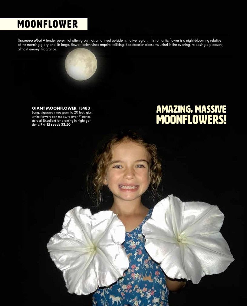 Baker Creek Heirloom Seeds Free Seed Catalog Weekly Ad January 1 - December 31, 2026