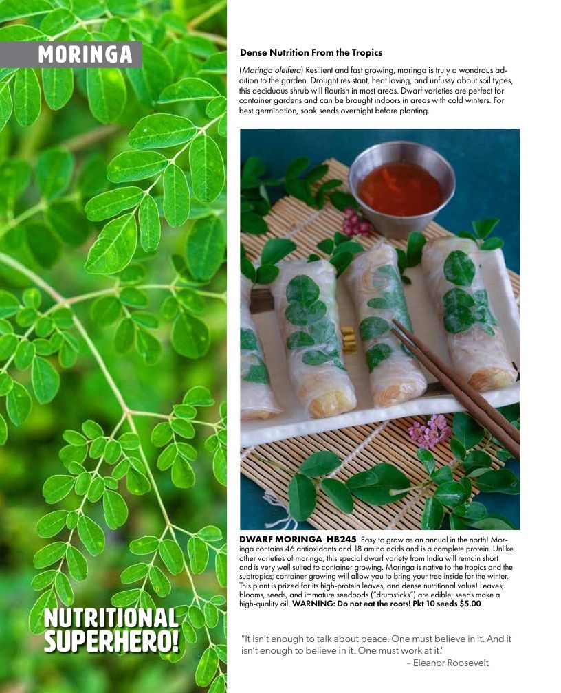 Baker Creek Heirloom Seeds Free Seed Catalog Weekly Ad January 1 - December 31, 2026