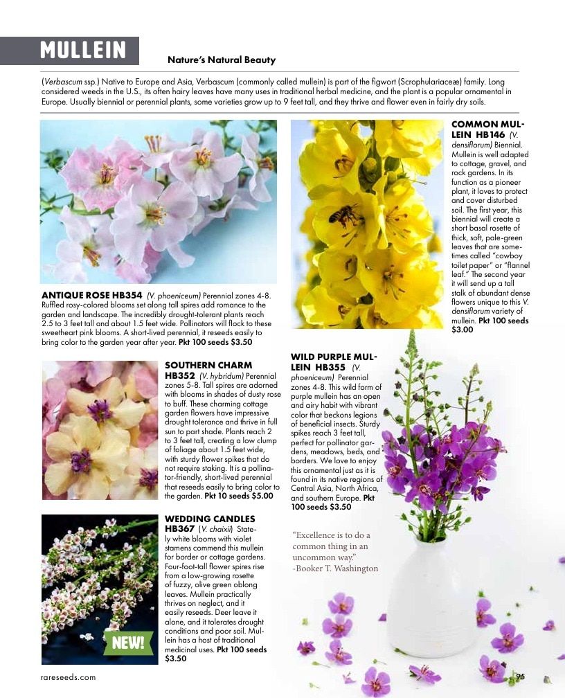 Baker Creek Heirloom Seeds Free Seed Catalog Weekly Ad January 1 - December 31, 2026
