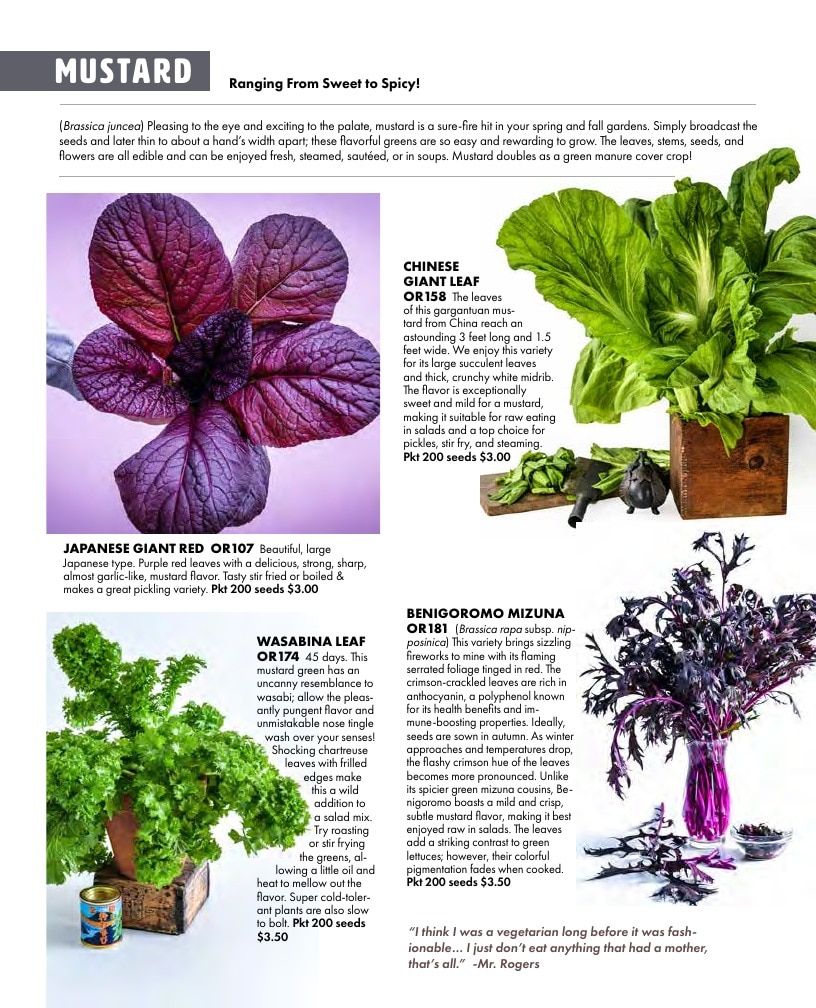 Baker Creek Heirloom Seeds Free Seed Catalog Weekly Ad January 1 - December 31, 2026