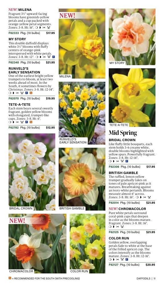 J.W. Jung Seed Company Fall Catalog Weekly Ad July 1 - December 31, 2026