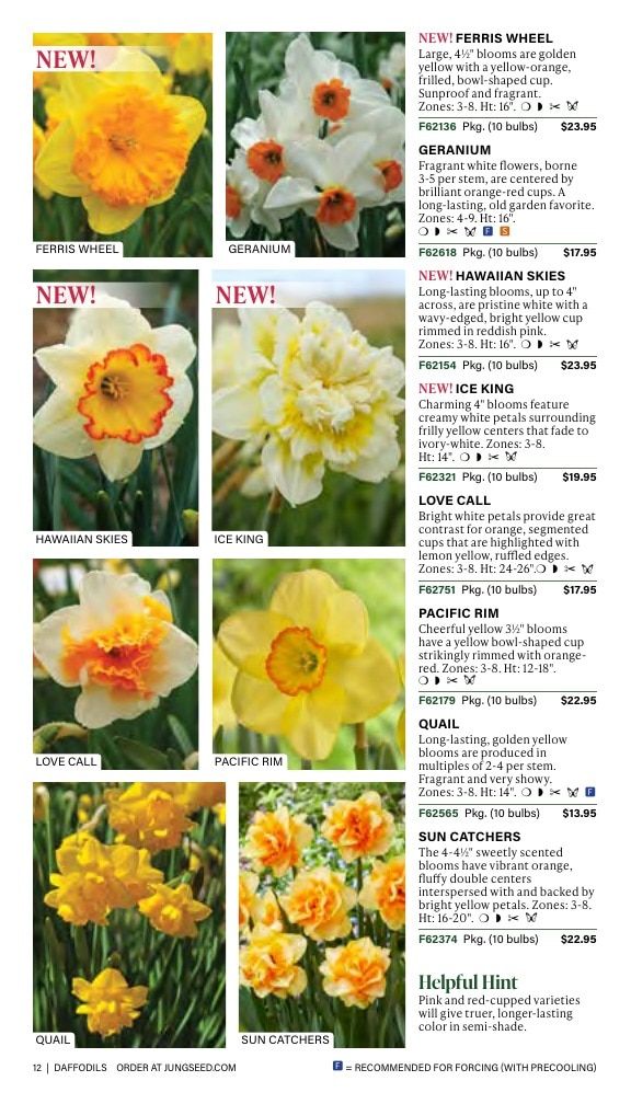 J.W. Jung Seed Company Fall Catalog Weekly Ad July 1 - December 31, 2026