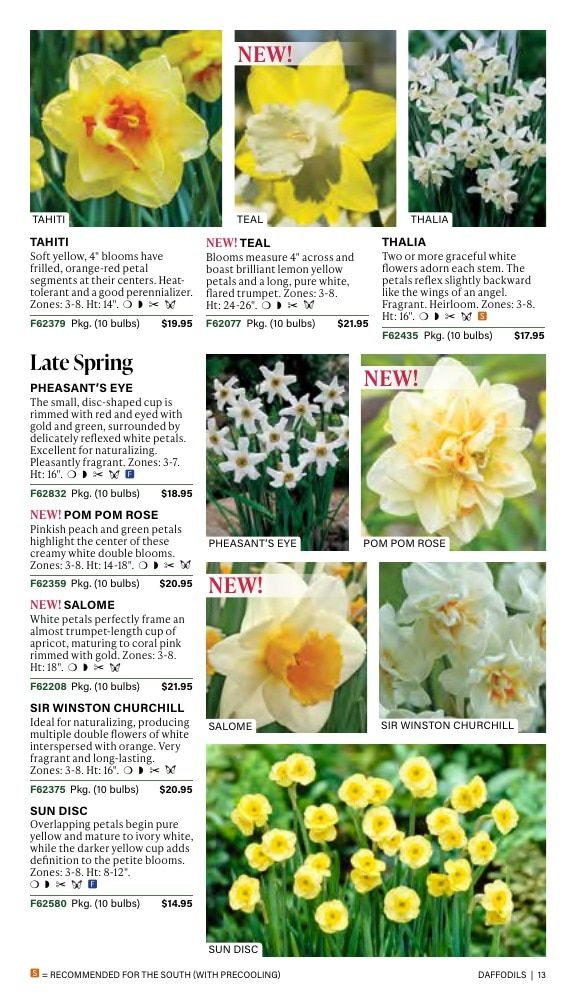 J.W. Jung Seed Company Fall Catalog Weekly Ad July 1 - December 31, 2026