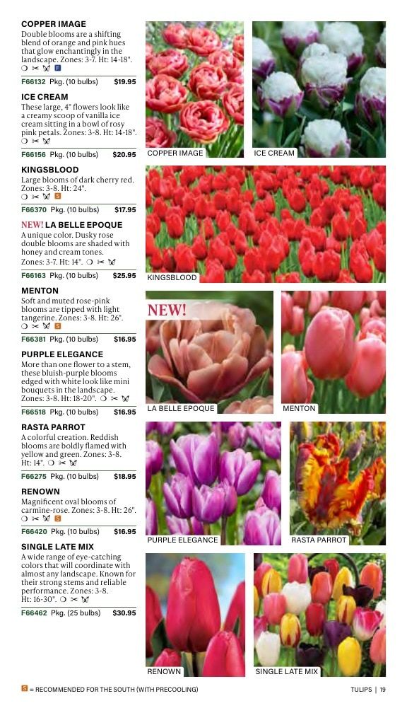 J.W. Jung Seed Company Fall Catalog Weekly Ad July 1 - December 31, 2026