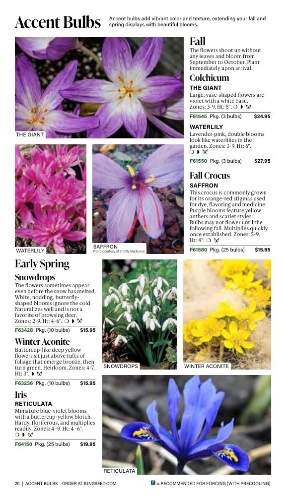 J.W. Jung Seed Company Fall Catalog Weekly Ad July 1 - December 31, 2026