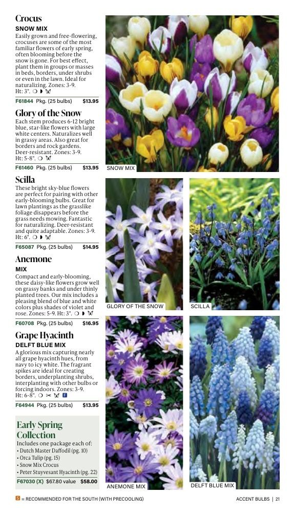 J.W. Jung Seed Company Fall Catalog Weekly Ad July 1 - December 31, 2026