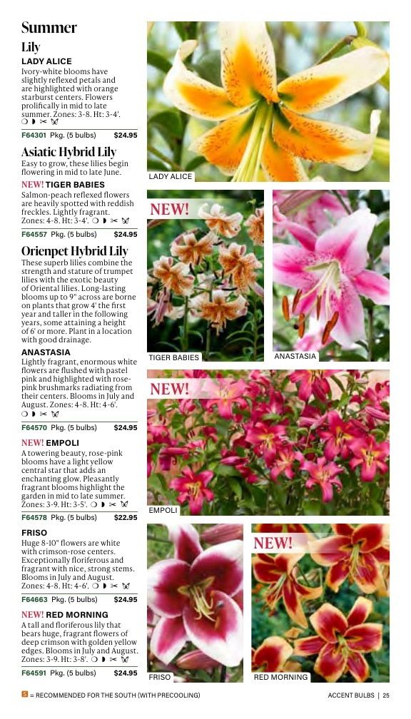J.W. Jung Seed Company Fall Catalog Weekly Ad July 1 - December 31, 2026