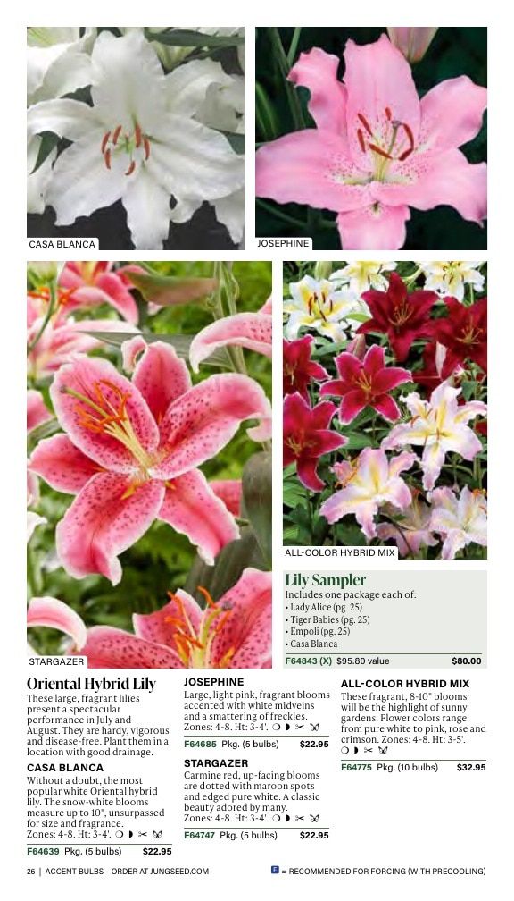 J.W. Jung Seed Company Fall Catalog Weekly Ad July 1 - December 31, 2026
