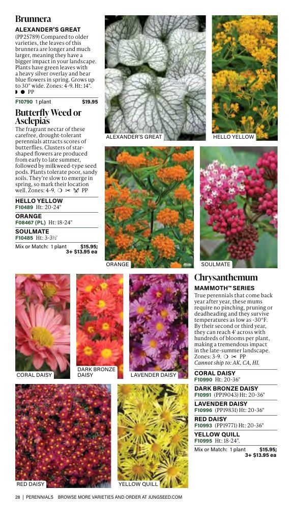 J.W. Jung Seed Company Fall Catalog Weekly Ad July 1 - December 31, 2026