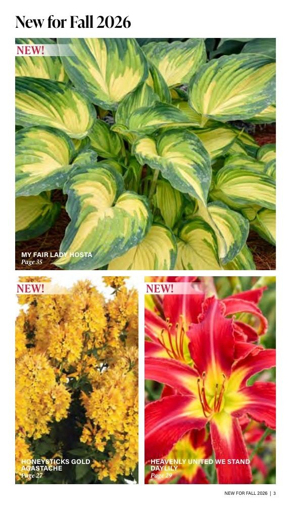 J.W. Jung Seed Company Fall Catalog Weekly Ad July 1 - December 31, 2026