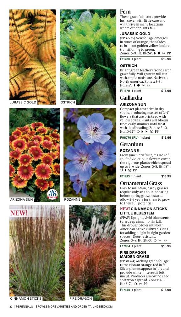 J.W. Jung Seed Company Fall Catalog Weekly Ad July 1 - December 31, 2026