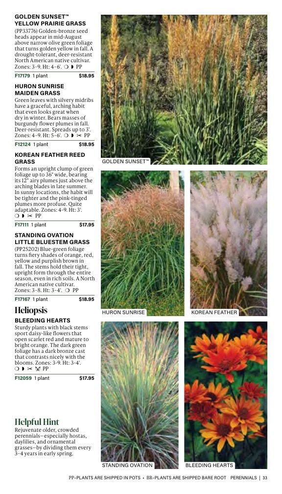 J.W. Jung Seed Company Fall Catalog Weekly Ad July 1 - December 31, 2026