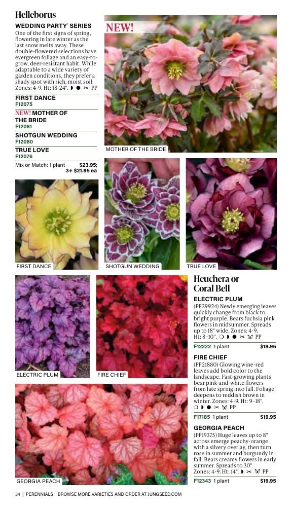J.W. Jung Seed Company Fall Catalog Weekly Ad July 1 - December 31, 2026
