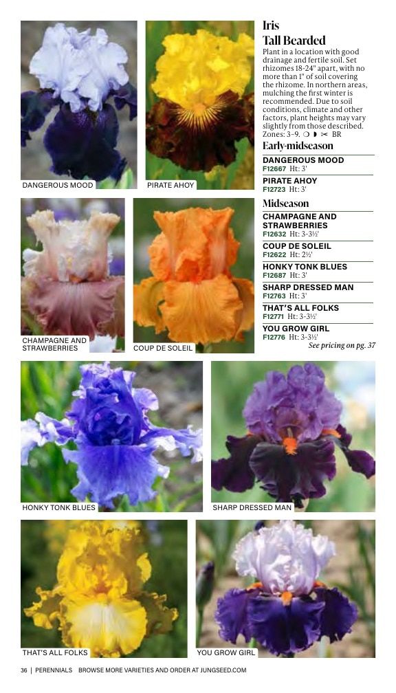 J.W. Jung Seed Company Fall Catalog Weekly Ad July 1 - December 31, 2026