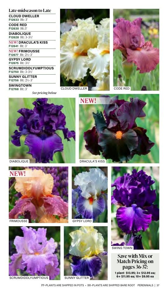 J.W. Jung Seed Company Fall Catalog Weekly Ad July 1 - December 31, 2026