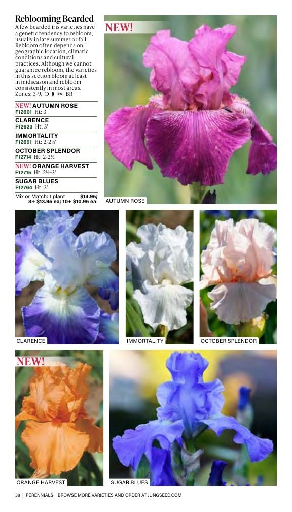 J.W. Jung Seed Company Fall Catalog Weekly Ad July 1 - December 31, 2026