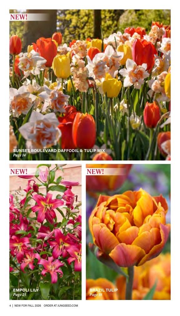 J.W. Jung Seed Company Fall Catalog Weekly Ad July 1 - December 31, 2026