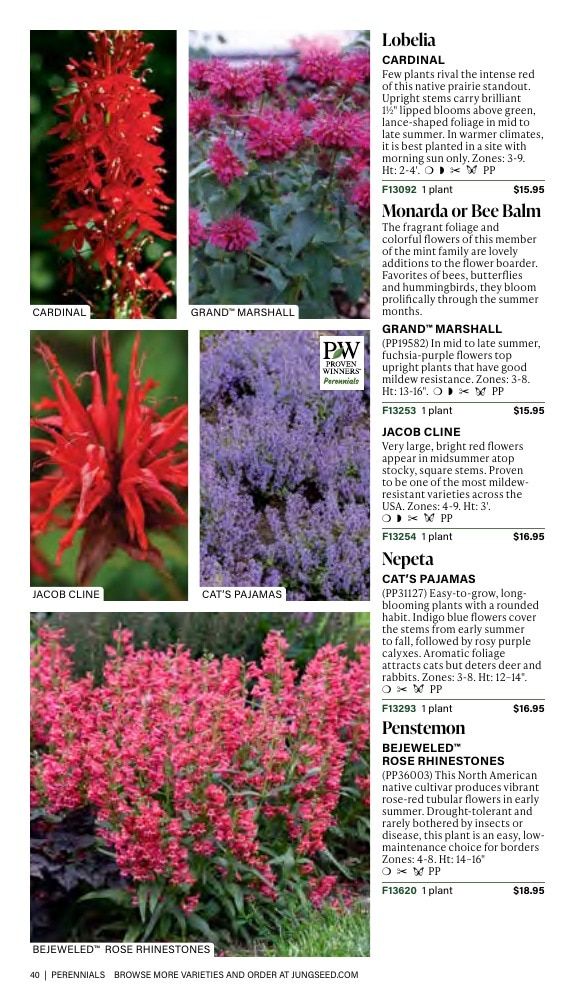 J.W. Jung Seed Company Fall Catalog Weekly Ad July 1 - December 31, 2026