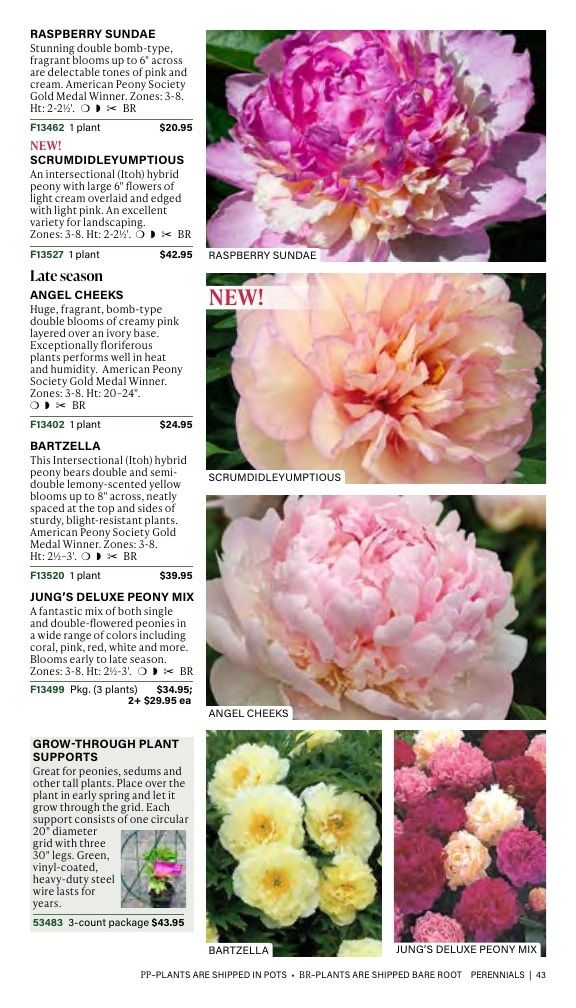 J.W. Jung Seed Company Fall Catalog Weekly Ad July 1 - December 31, 2026