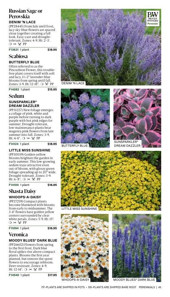 J.W. Jung Seed Company Fall Catalog Weekly Ad July 1 - December 31, 2026