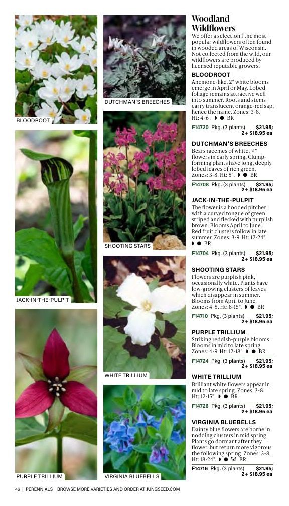 J.W. Jung Seed Company Fall Catalog Weekly Ad July 1 - December 31, 2026
