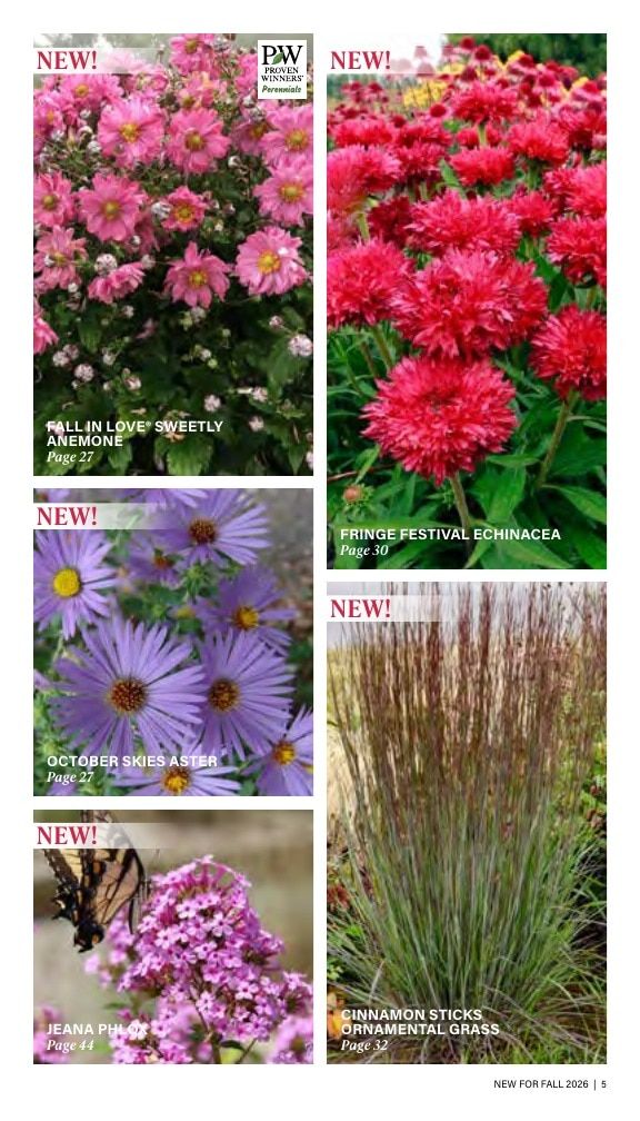 J.W. Jung Seed Company Fall Catalog Weekly Ad July 1 - December 31, 2026