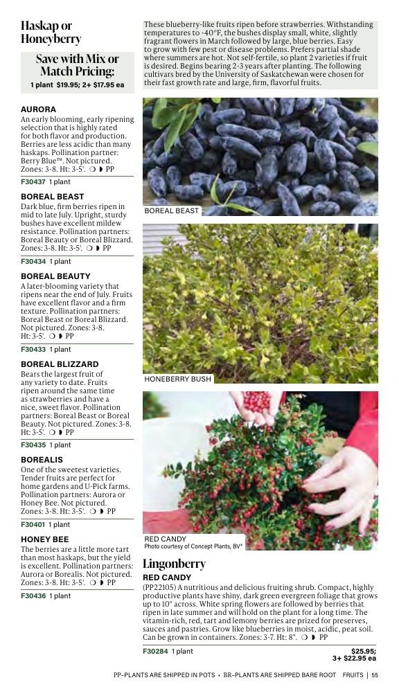 J.W. Jung Seed Company Fall Catalog Weekly Ad July 1 - December 31, 2026