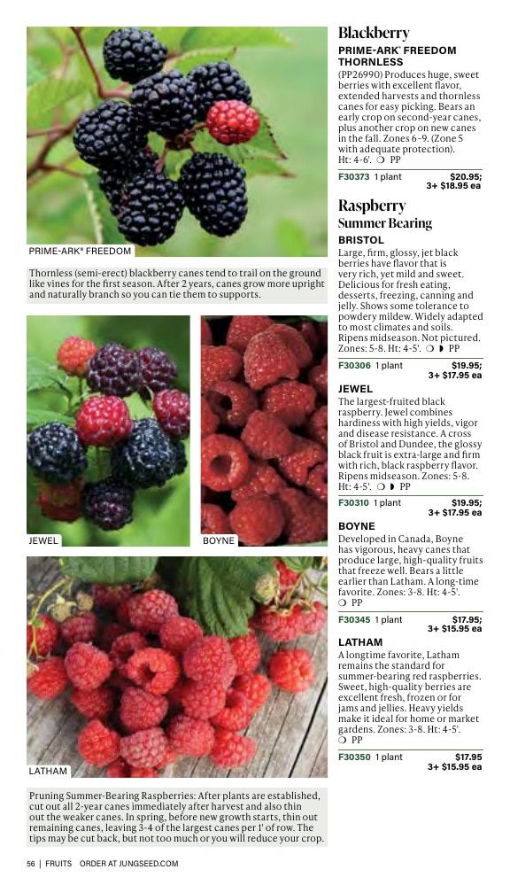 J.W. Jung Seed Company Fall Catalog Weekly Ad July 1 - December 31, 2026