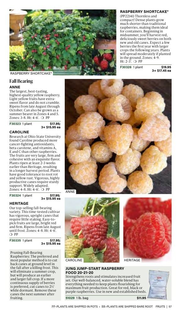 J.W. Jung Seed Company Fall Catalog Weekly Ad July 1 - December 31, 2026